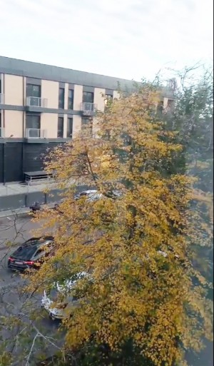 ул. Шевченко (г. Николаев, Центральный район) - Здається квартира, 10000 грн. - АФНУ